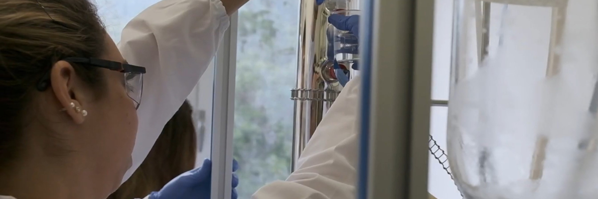 Diventa chi sei - DICCA