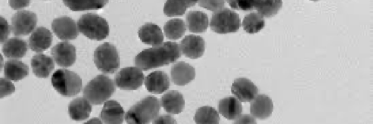 Nanoparticelle di oro - immagine TEM