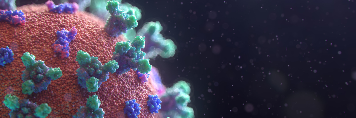 Coronavirus Covid-19