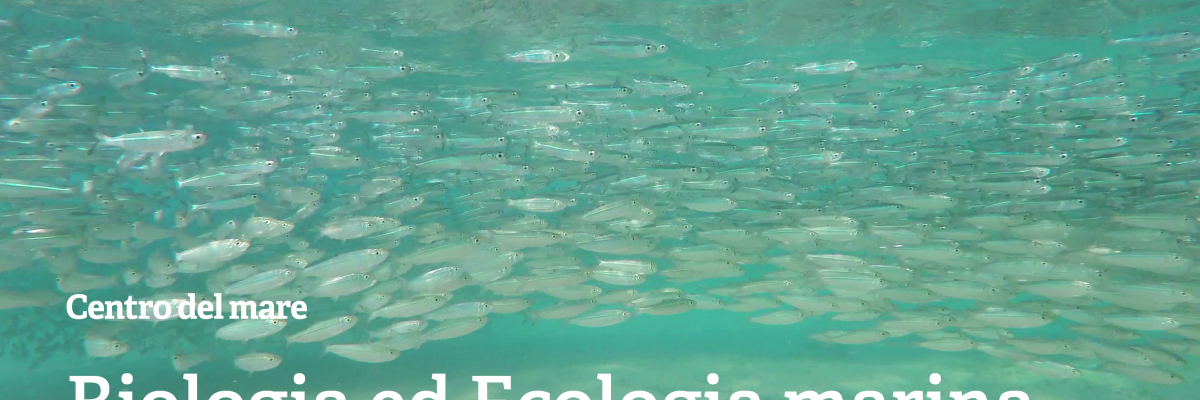 Biologia ecologia marina