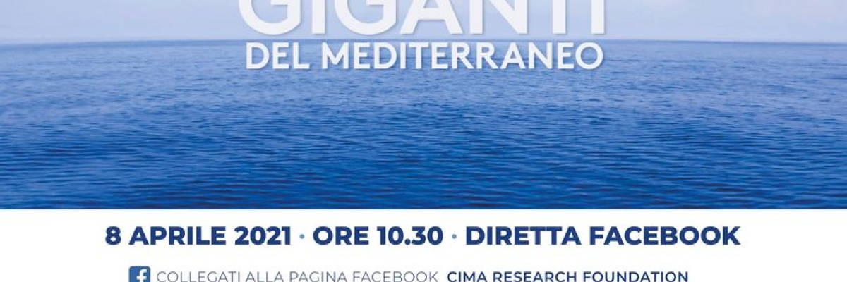 giganti del mediterraneo