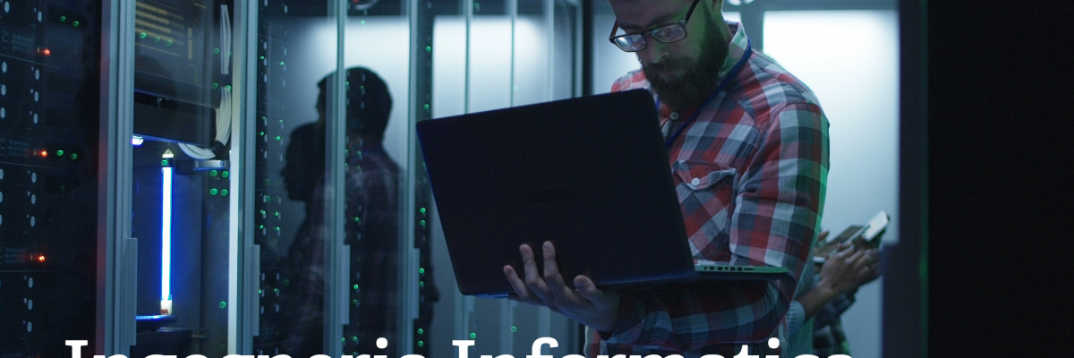 ingegneria informatica