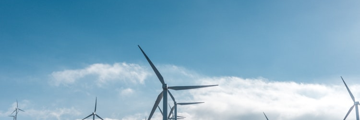 pale eoliche