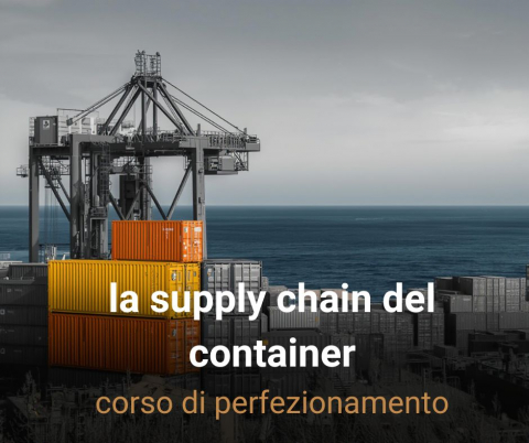 la supply chain del container